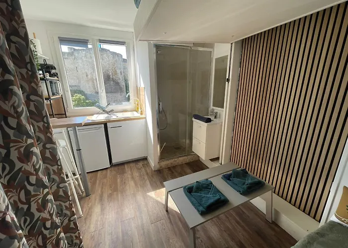 Castle - Vue Sur Le Chateau - Hypercentre Apartment *